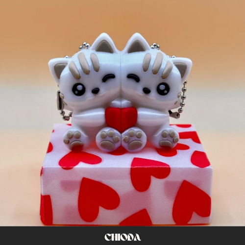 Confezione regalo + portachiavi coppia gattini