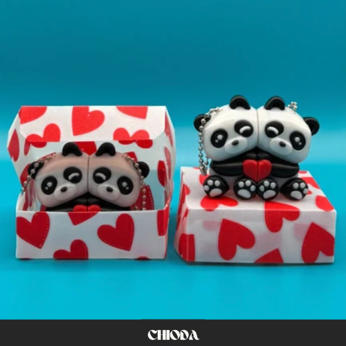 Confezione regalo + coppia di orsacchiotti magnetici