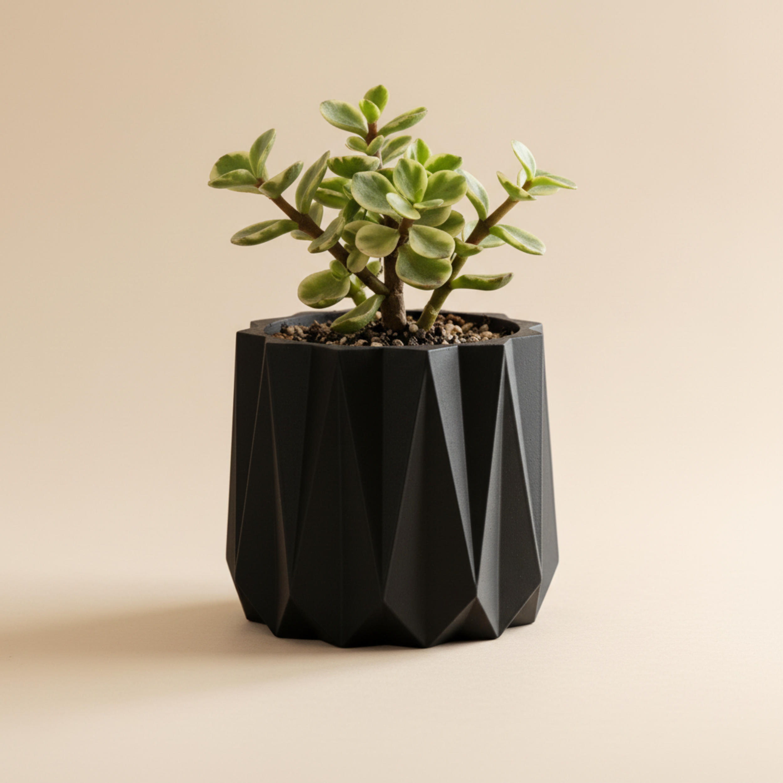 Vaso Piante Euclide Design Geometrico | 3 Misure | Chioda
