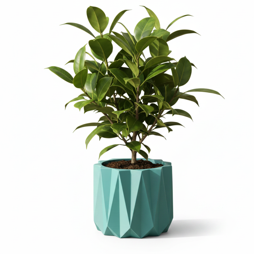Vaso Piante Euclide Design Geometrico | 3 Misure | Chioda