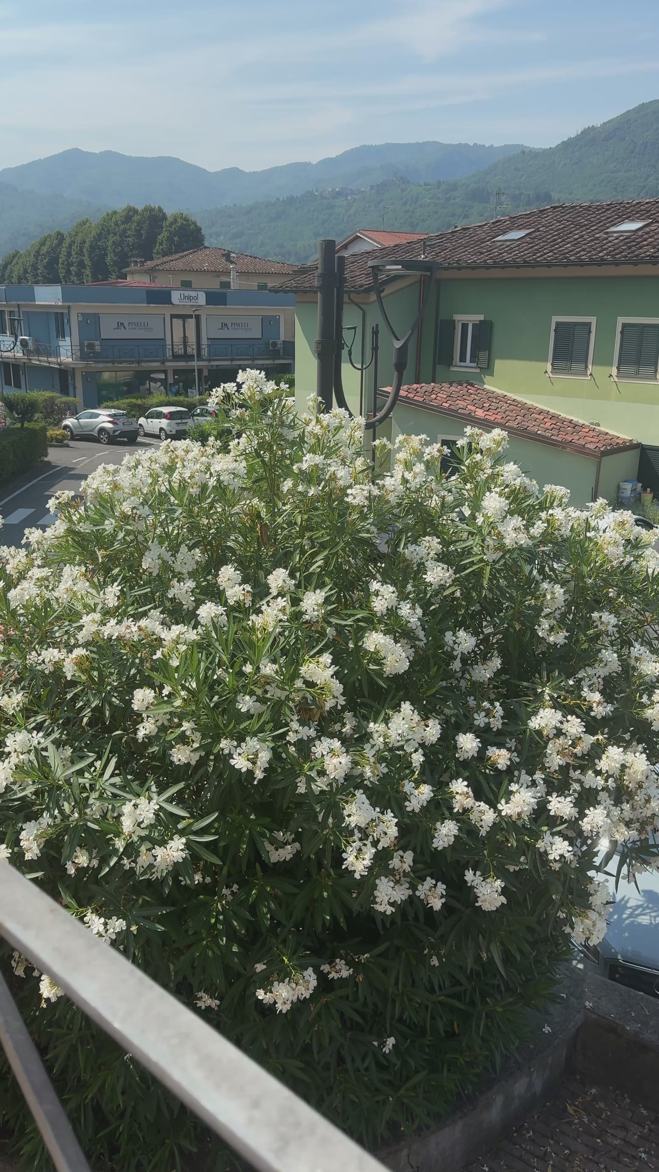 Set 12 Sottobicchieri Clair Obscur EXP33