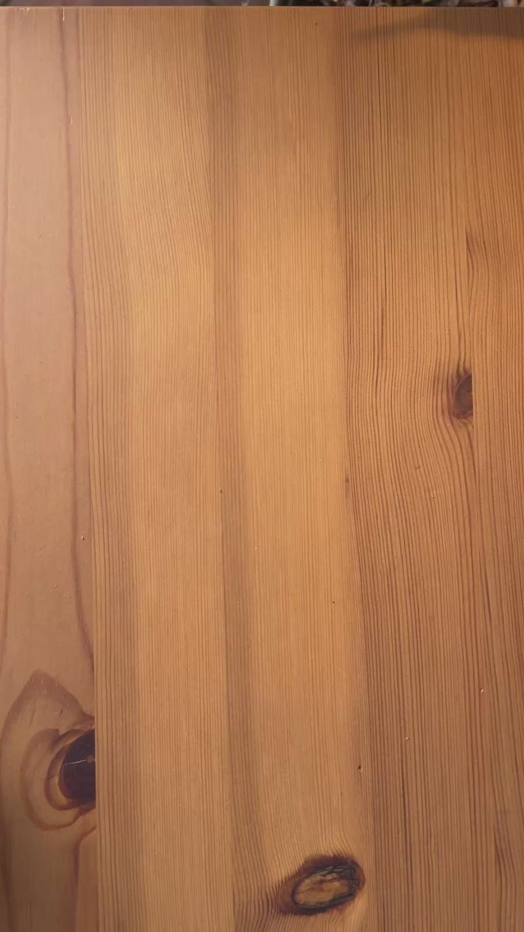 Portaocchiali Svuotatasche Kawaii Animali | scatola regalo | Chioda Design