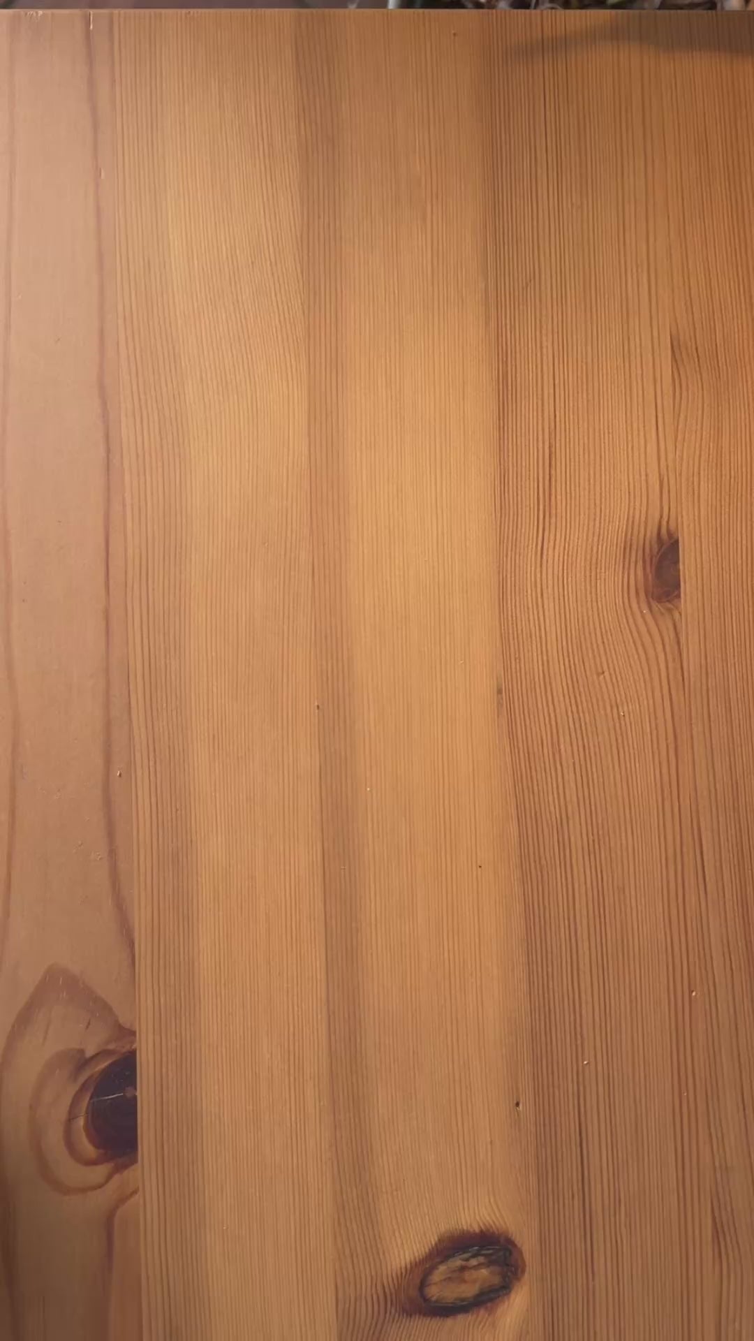 Portaocchiali Svuotatasche Kawaii Animali | scatola regalo | Chioda Design