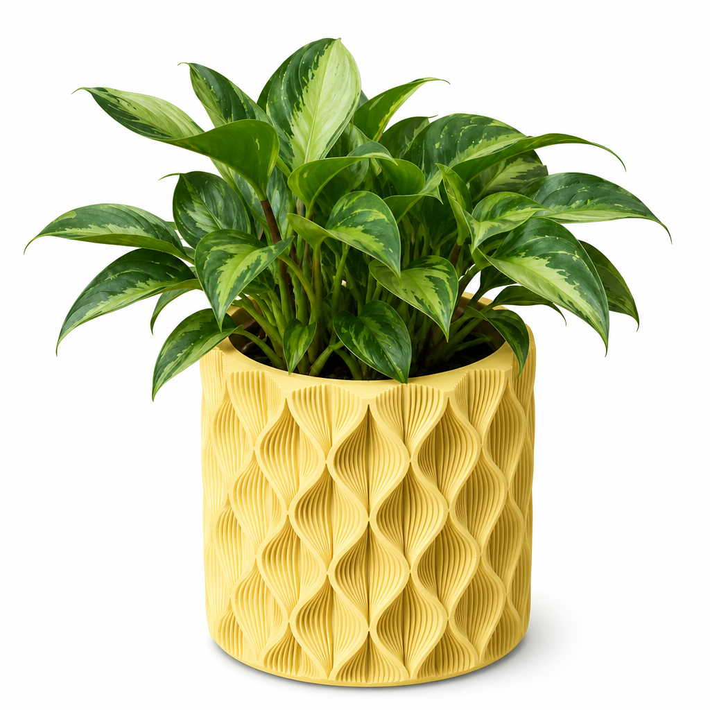 Vaso Design Zigzag Piante | 2 Misure | Chioda Studio