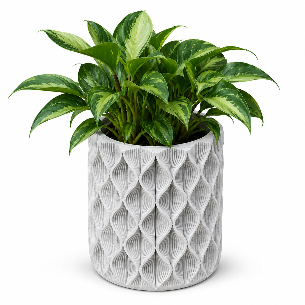 Vaso Design Zigzag Piante | 2 Misure | Chioda Studio
