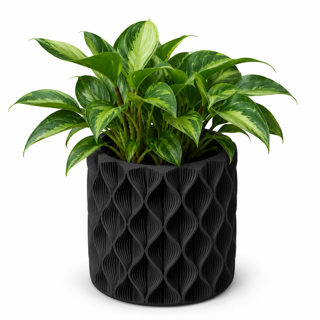 Vaso Design Zigzag Piante | 2 Misure | Chioda Studio