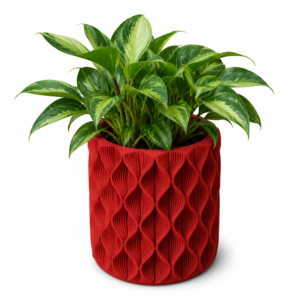 Vaso Design Zigzag Piante | 2 Misure | Chioda Studio