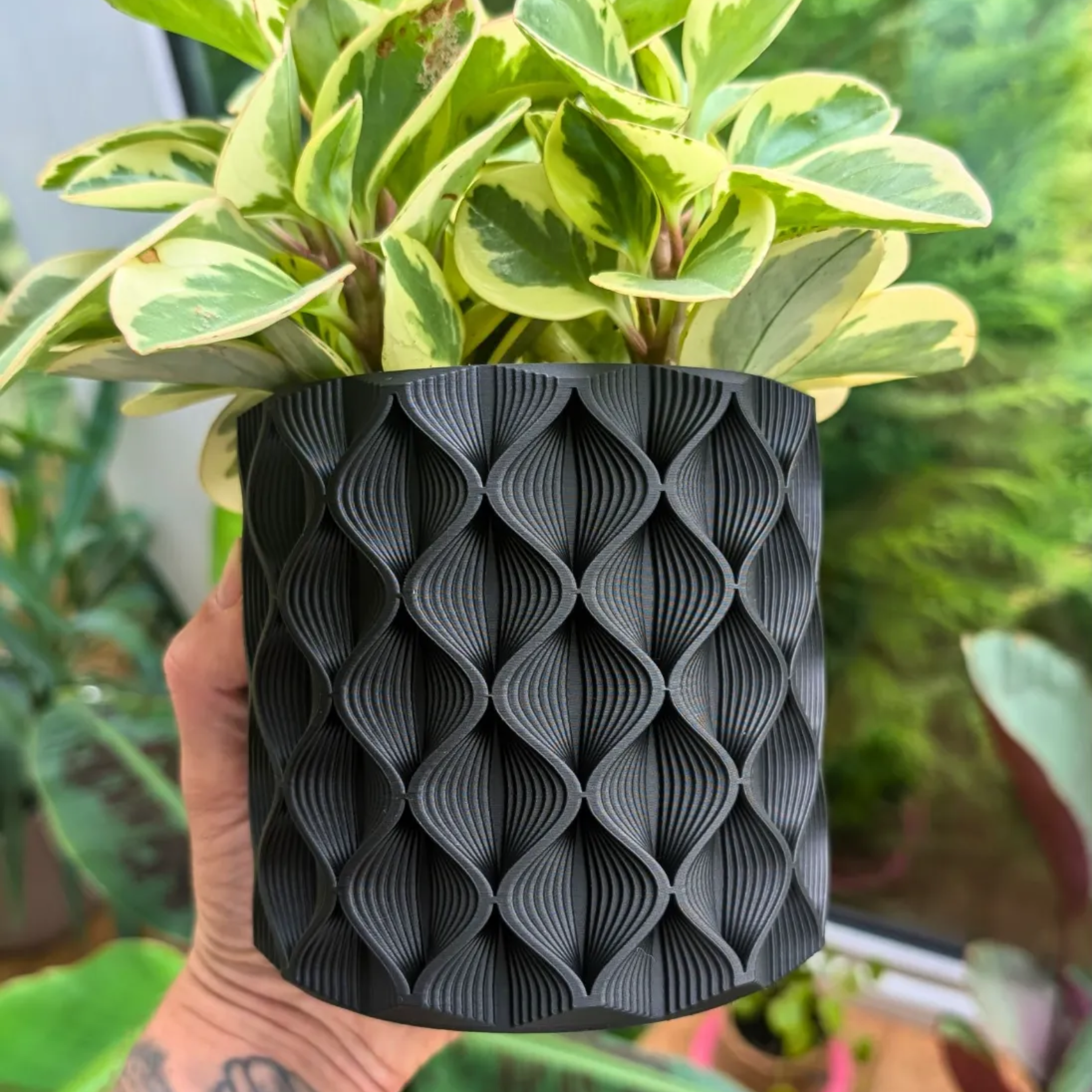 Vaso Design Zigzag Piante | 2 Misure | Chioda Studio