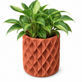 Vaso Design Zigzag Piante | 2 Misure | Chioda Studio